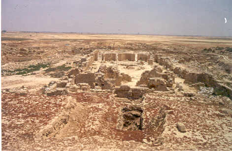 Abu Mina, the Great Basilica in 2001, extensive plant growth due to high groundwater level