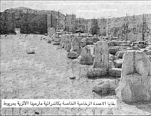 Abu Mena - Marble column remains